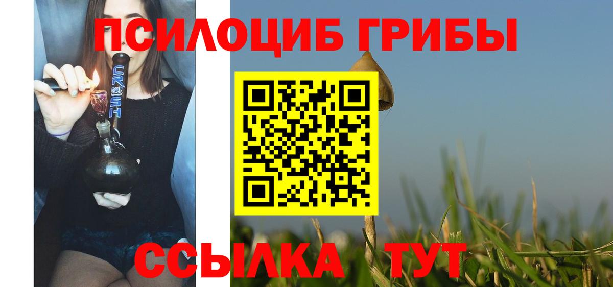 Ирбит  Псилоцибиновые грибы мицелий  Вход с VPN  продажа наркотиков  Псилоцибиновые грибы прущие грибы 